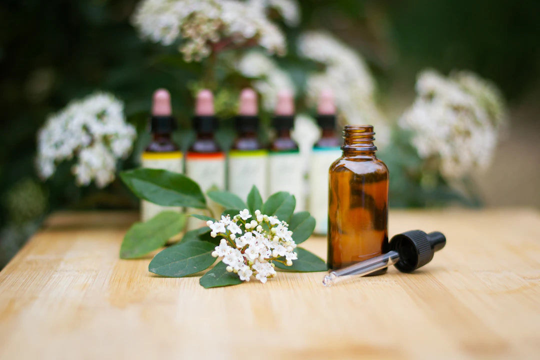 Transform Your Home with Elegant Aromatherapy Diffusers