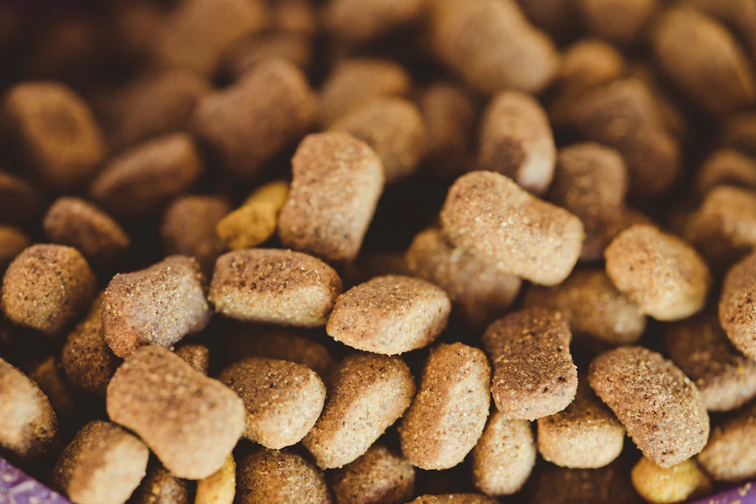 Grain-Free Dog Food for Small Dogs with Sensitive Stomachs