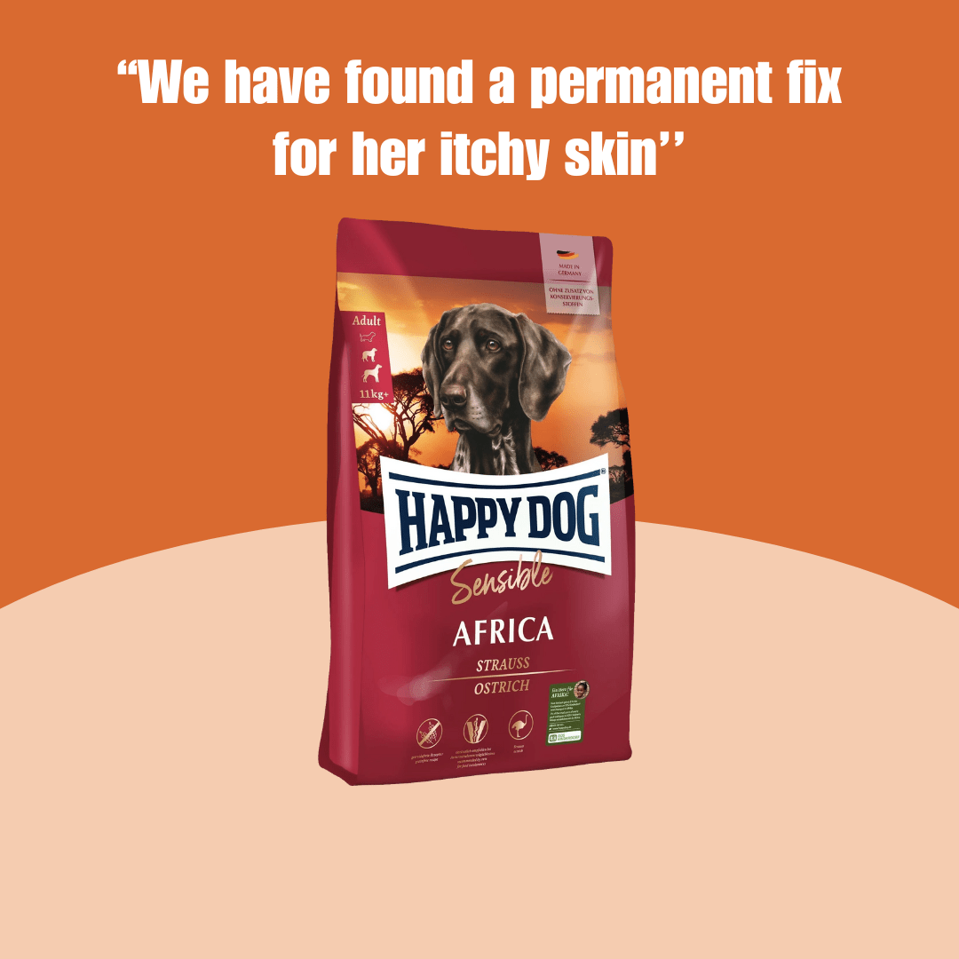 Dog Foods