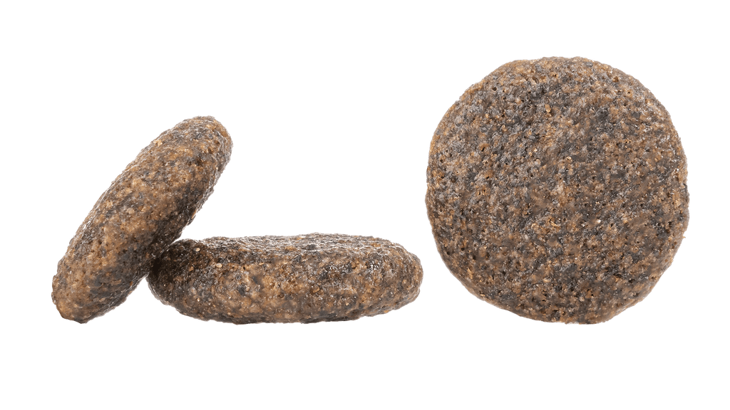 Karibik (Carribbean)