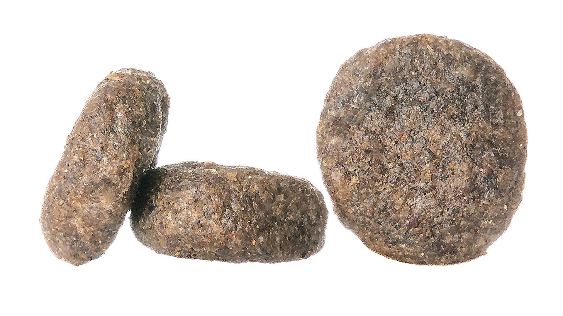 Mini Canada - Sensitive Dog