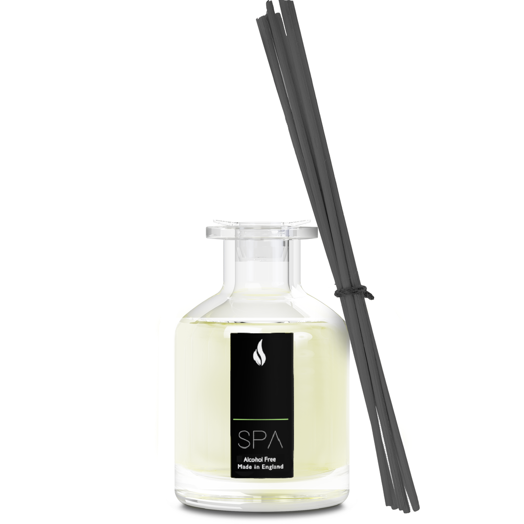 SPA ALPINE DIFFUSER 100ML