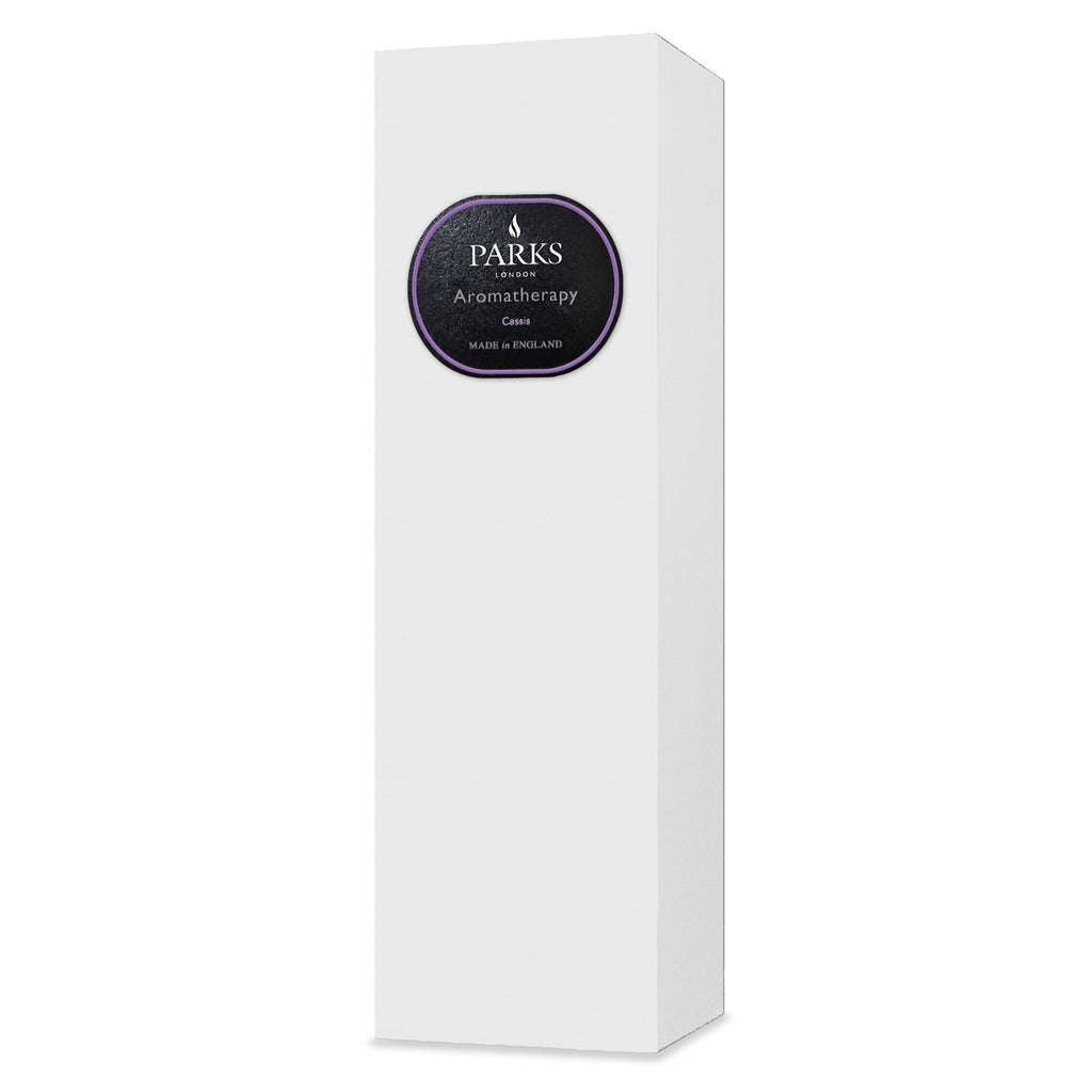 CASSIS DIFFUSER 100ML