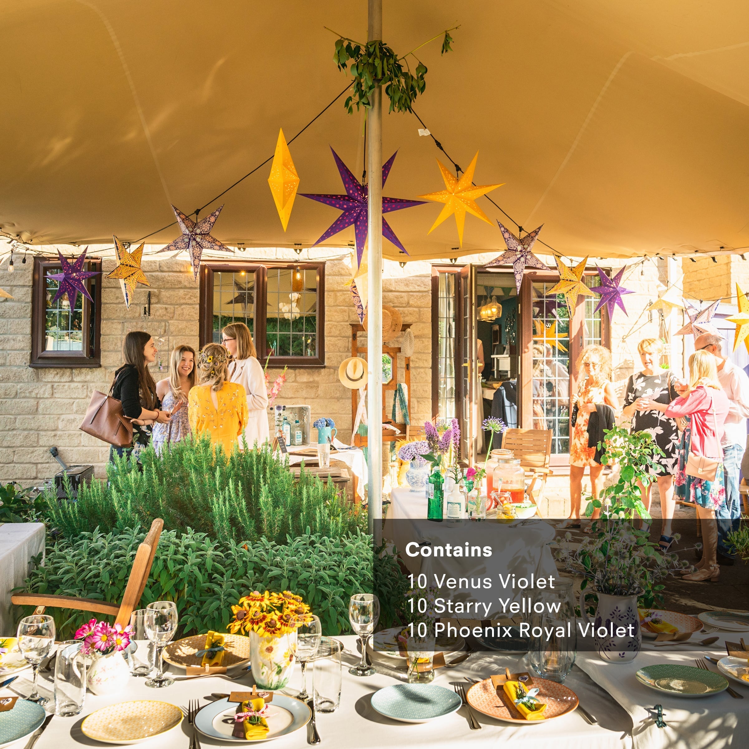 Summer Wedding Multi Pack: 30 Stars