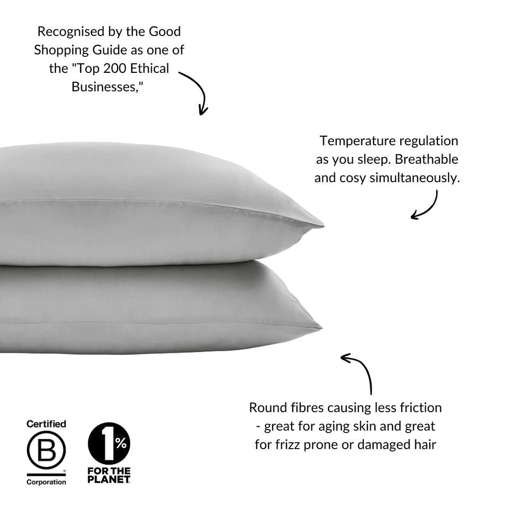 Eucalyptus Silk Pillowcase Pair in Grey (Best Seller)