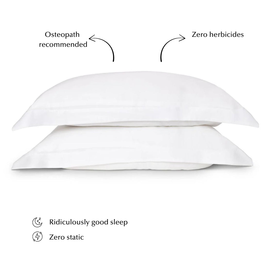 Sleepyhead Silk Pillow Set in White (Top Seller)
